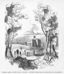 Dangan Castle, County Meath, Irland